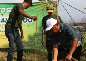 Kolaborasi Dinas LH Kabupaten Bekasi dan Alfamidi, Tanam 400 Pohon di Sepanjang GSB