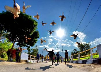 Bersilaturahmi & Bergembira dengan Pacu Itiak