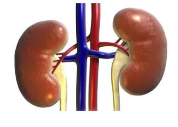 Anda Bisa Kenali Gejala Ginjal di Pagi Hari, Ini Tandanya!