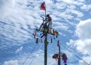 ‎Panjat Pinang, Tradisi Unik Warisan Kolonial  ‎