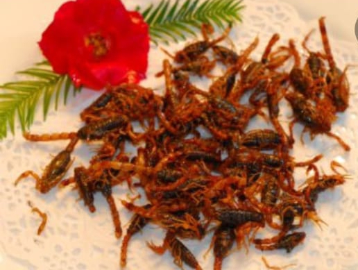 Kalajengking Goreng, Kuliner Ekstrem dari Negeri Gajah Putih
