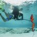 Spearfishing, Antara  Olahraga & Hobby
