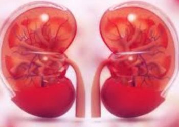 Atasi Gagal Ginjal dengan Mengkonsumsi Ikan Berikut Ini  ‎