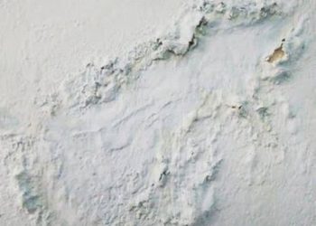 Cat Rumah Anda Mengelupas? Begini Mengatasinya