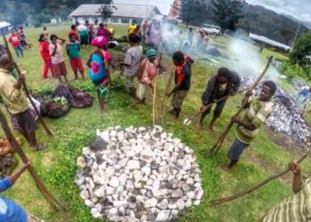 Bakar Batu, Tradisi Unik Suku Dani di Pedalaman Papua