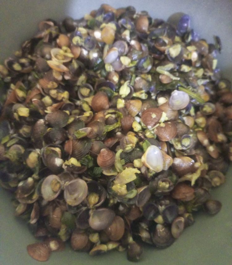 Sup Pensi, Kuliner Minang yang Legendaris