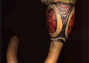 Koteka, Pelindung Kemaluan Pria nan Ikonik