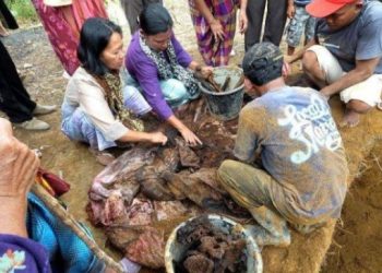 Mangongkang Holi, Tradisi Batak yang Membuat Tubuh Merinding 