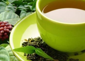 Kawa Daun, Kopi Unik Ala Ranahminang 