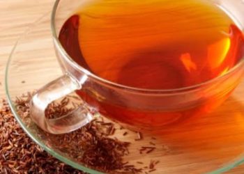 Rooibos, Minuman “Tak Biasa” dari Afrika 
