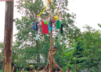 Panjat Pinang: Tradisi Unik Warisan Kolonial 