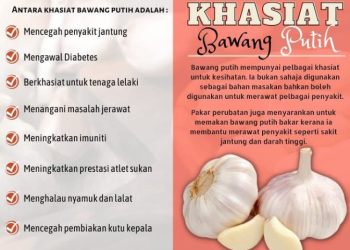 Kenali, Ini Manfaat Bawang Putih untuk Kesehatan 