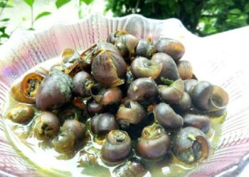 Mak Nyos, Gurihnya Sayur Kraca