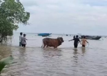 Uniknya Tradisi Rasol