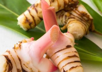 Tak Hanya Sebagai Bumbu Masak, Lengkuas Ternyata Kaya Manfaat